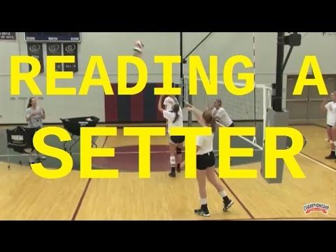 The Art of Reading the Setter: Mastering the Middle Blocker Position