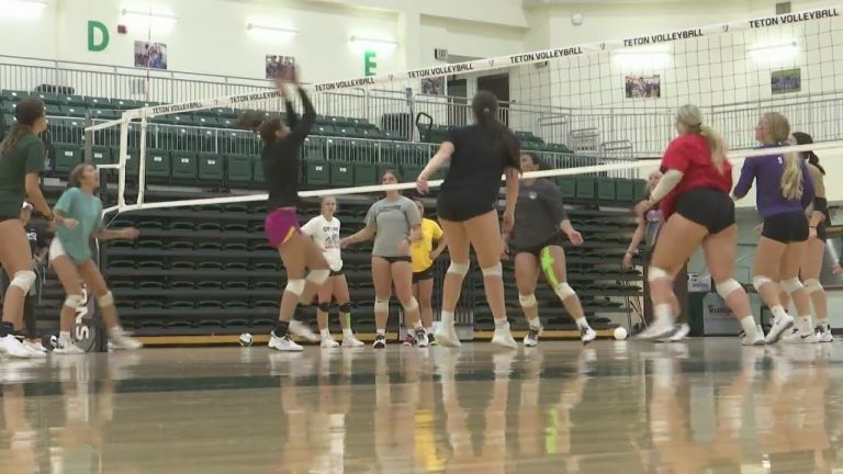 Building a Cohesive Volleyball Team: Strengthening Bonds for Success